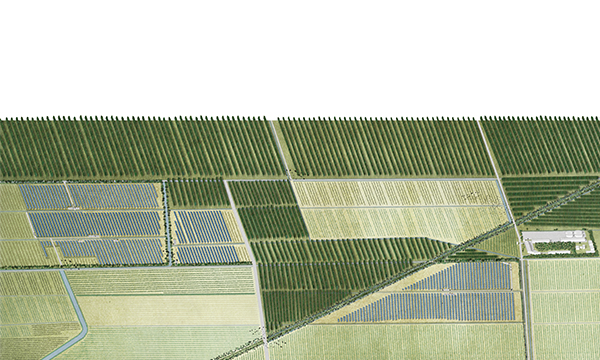 Energie del Paesaggio attraverso i sistemi agrivoltaici