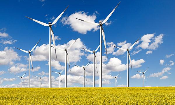 La partecipazione dei cittadini davanti alla sfida del European Green Deal: quale innovazione?