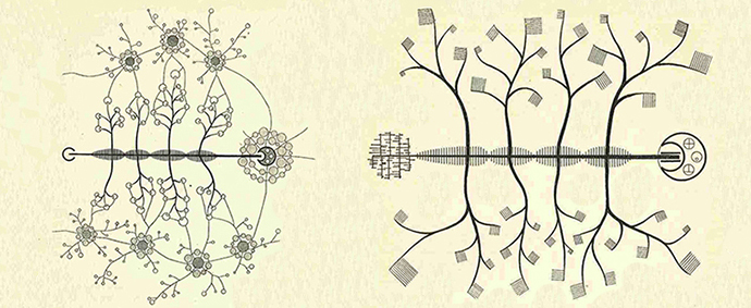 Laboratorio Critical Planning & Design
